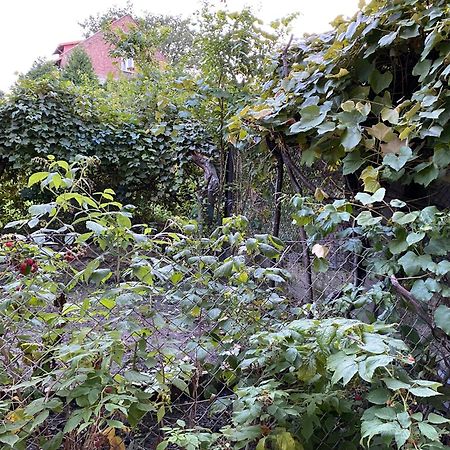 Apartamenty Lux Slowackiego, Przemyśl 外观 照片